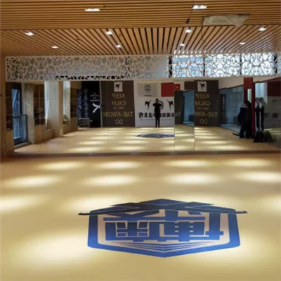 XPE Mat Għall Boxing Jodo MMA