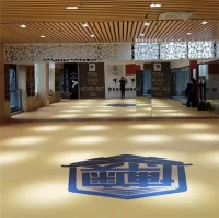 XPE Mat Għall Boxing Jodo MMA